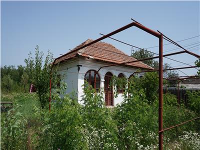 Casa cu teren in Brestei